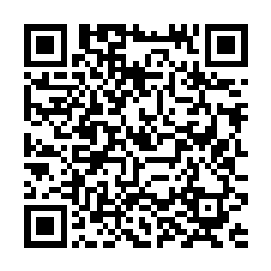 虽然没有人知道为什么会下这种让他们实力提升的雨二维码生成