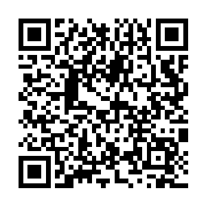 虽然没有再送但也再没能组织起一波有效的gank和反蹲二维码生成