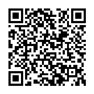 虽然法相六重身的高手对于他们来说并不算什么二维码生成