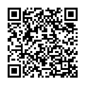 虽然灵气的富集程度还远远比不上无赦谷和青阳洞二维码生成