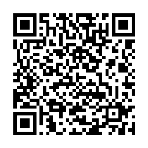 虽然灵磁干扰的强度以及宇宙尘埃的密度不断提升二维码生成