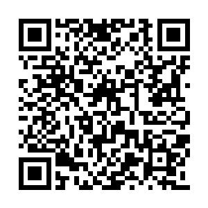 虽然王将军心里面对尚知府的提醒一万个不相信二维码生成