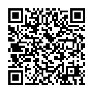 虽然王晓刚能够让自己进入到最为深层次的睡眠二维码生成