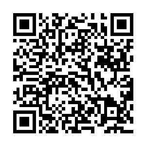 虽然王靖露从一开始就要求他同时在华夏戏剧学院那边报名二维码生成