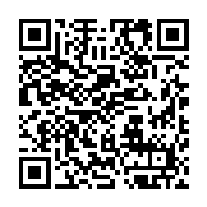 虽然现在李锐只需要每三天用一个晚上就能完成天庭的工作二维码生成