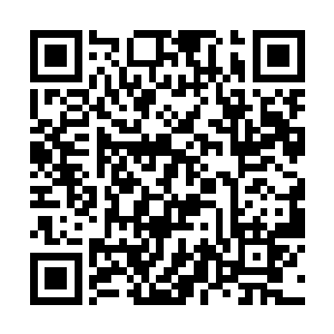 虽然现在杨晨还没有想到要拿着噬血虫具体做些什么二维码生成