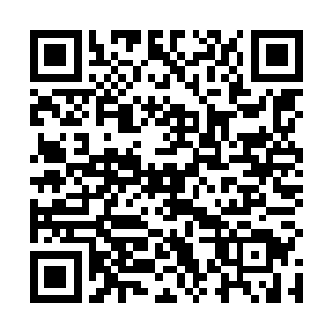 虽然现在林光山的钱已经多得存银行吃利息也不会饿着二维码生成