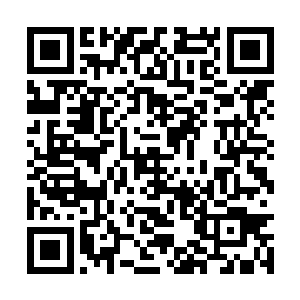 虽然现在看起来和自己等人之前了解到的不大一样二维码生成