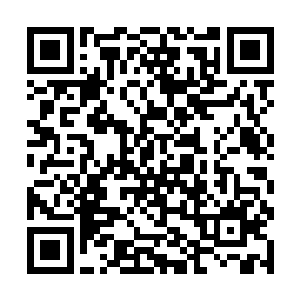 虽然琴瑟色觉得她并没有在黄心巨人王身上看的狂妄二维码生成