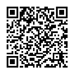 虽然琴瑟色身上带着流墨墨给她的能放活物的乾坤袋二维码生成