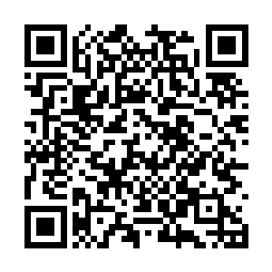 虽然用极品原石换取韩如冰的神魂他丝毫不觉心疼二维码生成