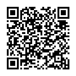 虽然白兰旁边跟他们一起在桌子上进食的妮娜有些扎眼二维码生成