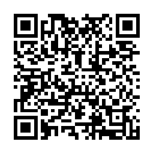 虽然白熙颜打出的图案没有完全拦住董依依的图案二维码生成