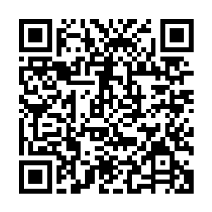 虽然白神以及周叶的实力是除了你我以及白舒儿之外最强之人二维码生成