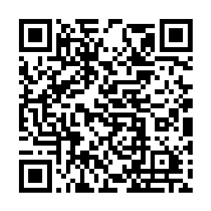 虽然白面知道夏儿这么对待自己是因为梵天的原因二维码生成