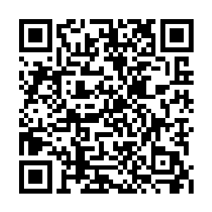 虽然百晓生现在的战斗力已经远远的超出黑虎了二维码生成