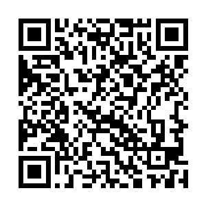 虽然的确可能存在可以为小女孩解除诅咒的神仆或者使徒二维码生成