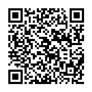 虽然目前大哥已经得到了螃蟹和海带两家的产业二维码生成