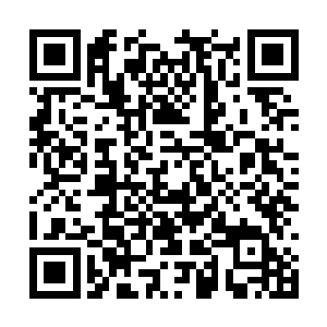 虽然看着里面的一切就猜到这里的主人是个大个子二维码生成