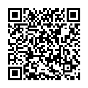 虽然看着金乌族的人被雷霆给劈成齑粉她们心里解气二维码生成