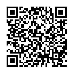 虽然眼下叶尊的举动看似会给所有人带来无法预料的危险二维码生成