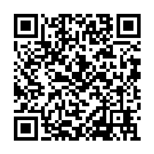 虽然知道五号导师背地里绝对不会说她什么好话二维码生成