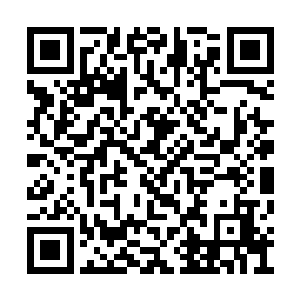 虽然知道他有意结交自己的目的是借用器灵火鸟二维码生成