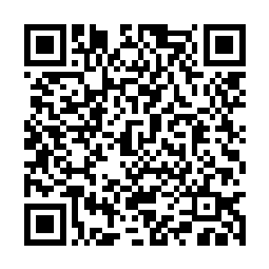 虽然知道想要炼化掌教印必须获得宗门所有人认可二维码生成