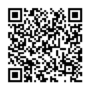虽然知道桑纳最厉害的杀招并不在于正面与人为敌二维码生成