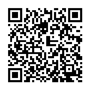 虽然知道能够一拳击飞楚旬的寒冰巨人绝对不是什么弱者二维码生成