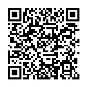 虽然知道这些骨骼在这里终究会被混沌之气分解二维码生成