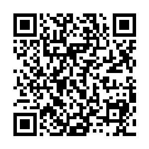 虽然知道那些荒古巨龙和虾兵蟹将都是一掌之水凝结出来的二维码生成