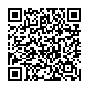 虽然知道隔这么远只要不发出声音就不会打扰那对父子二维码生成