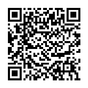 虽然确定那些鼬都钻回了地下四通八达的地穴里二维码生成