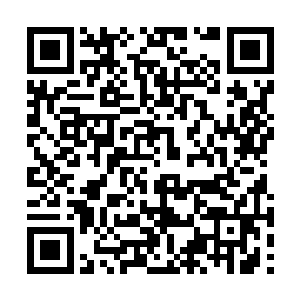 虽然神魂攻击让危天暂时丧失了那么一点点的神魂二维码生成
