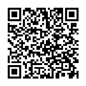 虽然离儿以前跟我在吉祥村生活的时候也经历过这些二维码生成