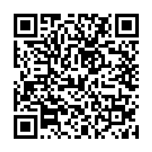 虽然秘影云鬃造出的幻象可以被白冰儿这等修为所看破二维码生成
