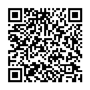 虽然秦宇不知道对自己那被包裹住的元神带来的多大的好处二维码生成
