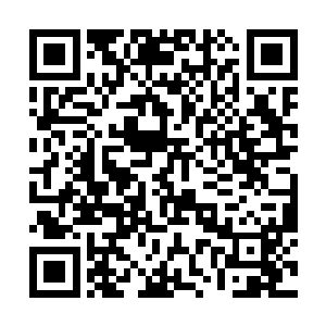 虽然秦方不知道老妈是如何说服护士让她靠近这里的二维码生成