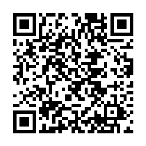 虽然绝大部分洪潮军团的俘虏在几千年前就已经死了二维码生成