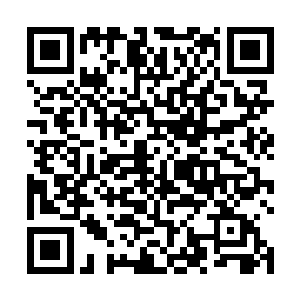 虽然绿魔的出现让昊天域界的修士数量减少了几乎两成二维码生成