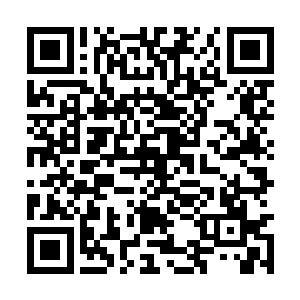 虽然罗大伟明知道这件事恐怕就连他爸也帮不了他二维码生成