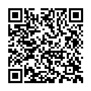 虽然老夫不知道你是如何具备这种武神境的力量二维码生成