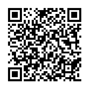 虽然能够助已经二尾的灵宝的一颗灵药举世难寻二维码生成