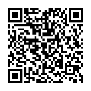 虽然能够达到三级术士的血脉放在中部大陆也算是非常了不起了二维码生成