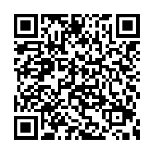 虽然脑子里莫名多出了一段你记忆让他有些恐惧二维码生成
