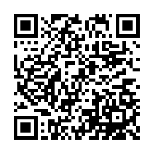 虽然自家尊主和季疏云的事情听起来很不可思议二维码生成