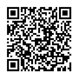 虽然自己两剑之威给怒焰部和狂风部制造了巨大的优势二维码生成