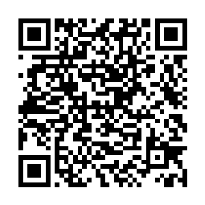 虽然自己觉得天道这样的行为是一个很混蛋的行径二维码生成