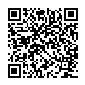 虽然舞台上的那位琴心姑娘到现在还没有露出面容二维码生成